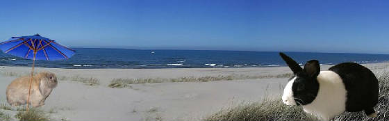 lakemichiganbeachsmokeywebsitesmall.jpg