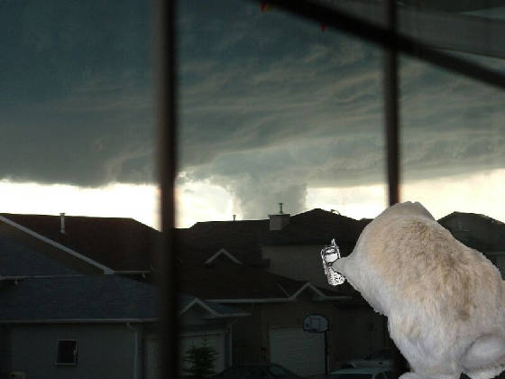 tornadothroughwindowwsmokeywatchingwebsite.jpg