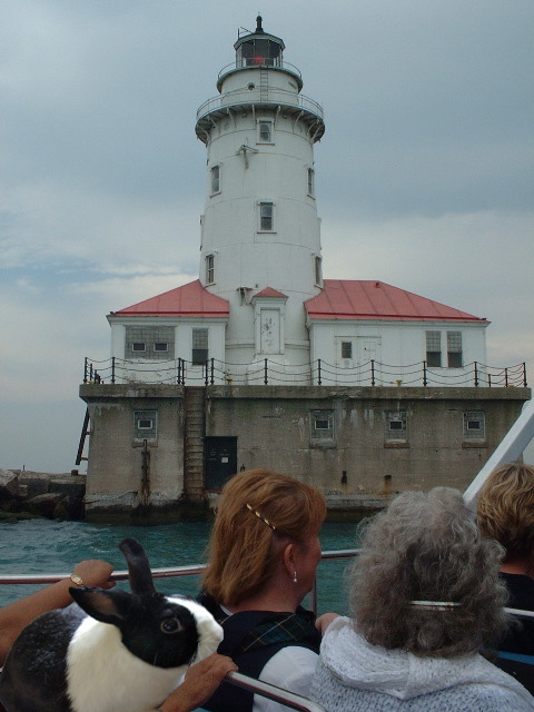 cloudylighthousewithsammy.jpg