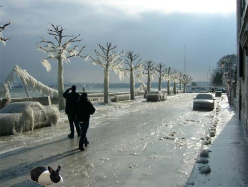 iceydaywithsammyx2.jpg